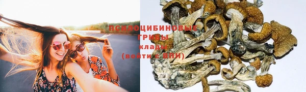 не бодяженный Пролетарск