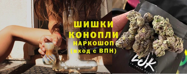 СК Балахна