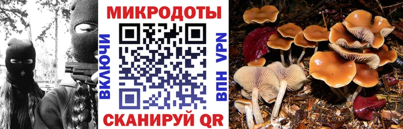 Псилоцибиновые грибы мицелий  Таруса 